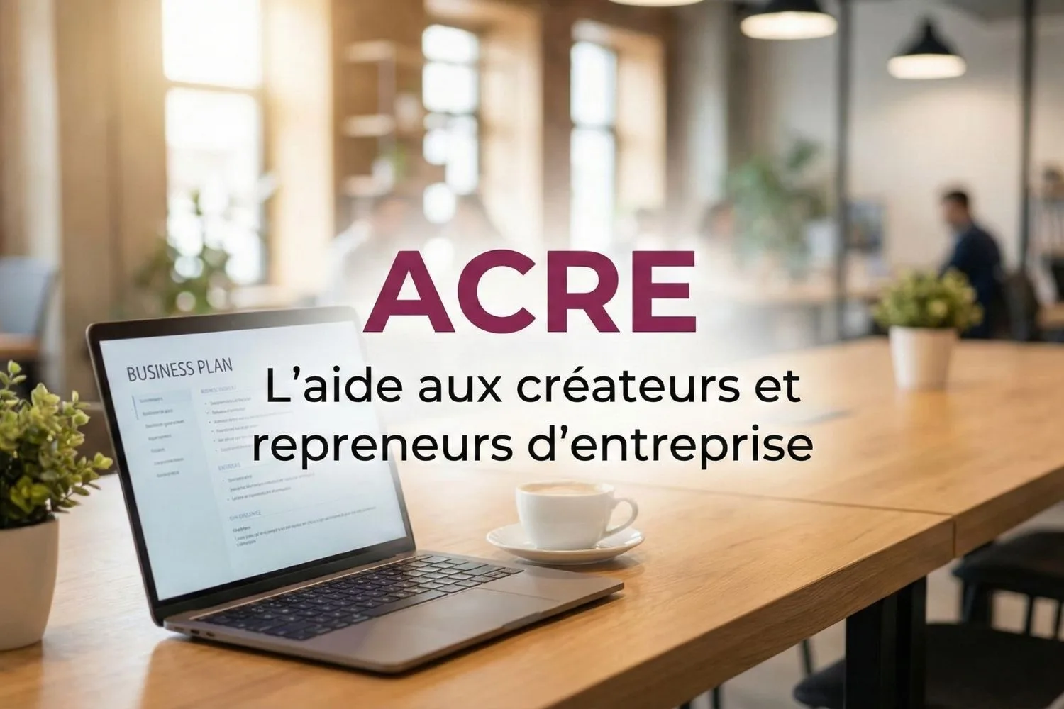 Aide à la Création ou à la Reprise d'une Entreprise