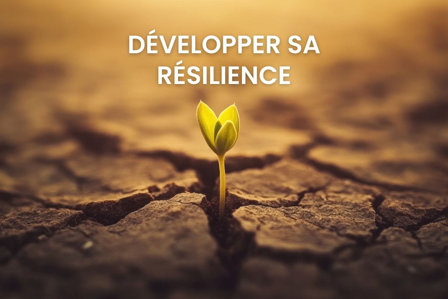 Développer sa résilience